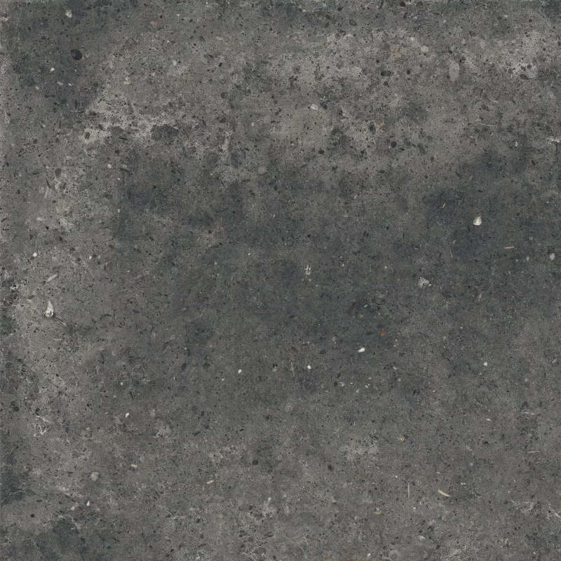 ANIMA FUMO 60X60_12