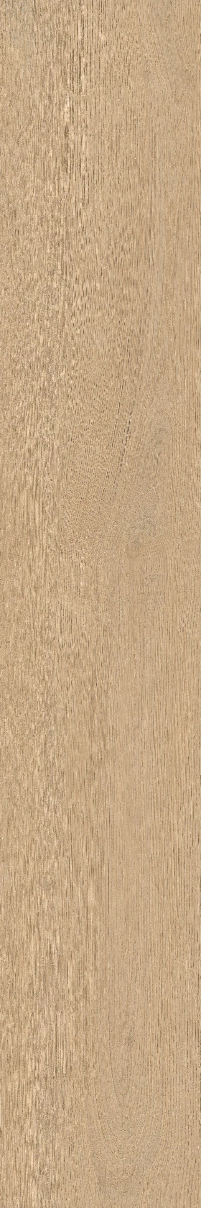 TABULAE REFINED MIELE 20X120_19