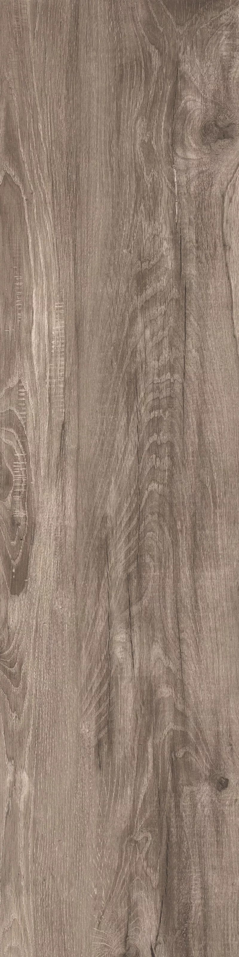 WOODLAND SAND 30X120_04