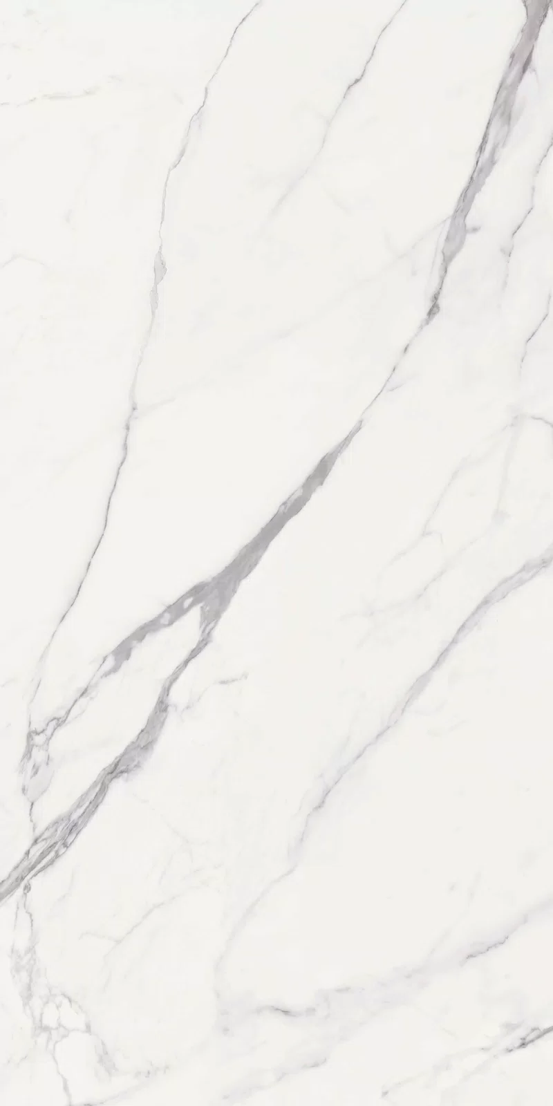 NOBILE STATUARIO 60X120_02