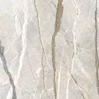 Carreau Supreme Hedonism Silver Roots par Flaviker en gris, finition Lux 3D, 120x120, épaisseur 8.5 mm.
