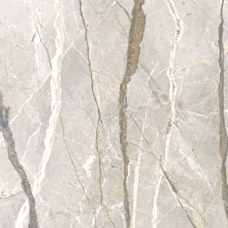 SILVER ROOTS