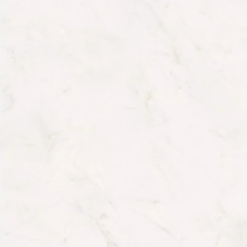 SENSI WHITE RHINO 120X120_04