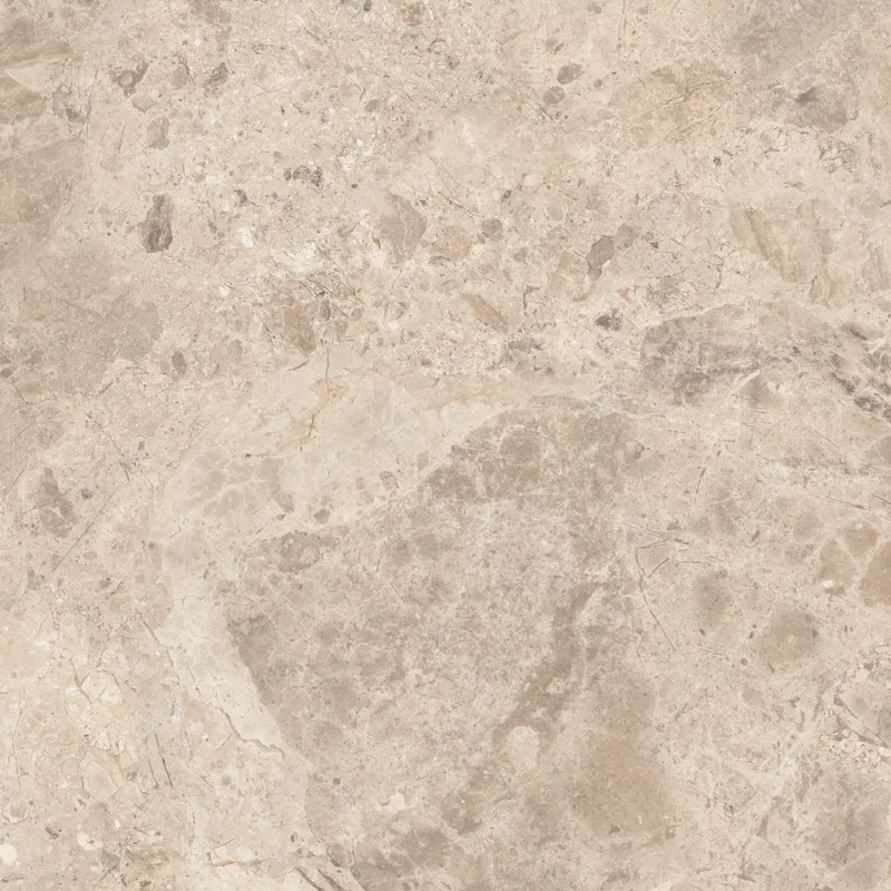 OUT.20 ERA BLOOMING TAUPE 80X80 _02
