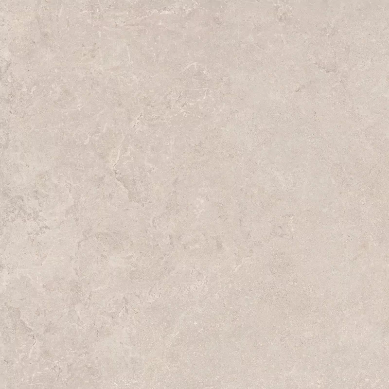 MIDI NATURE POUDRE 60x60_6