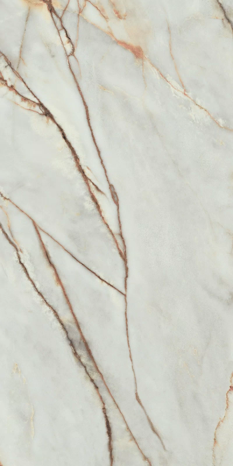 LA MARMOTECA_GREY WONDER 60X120_16