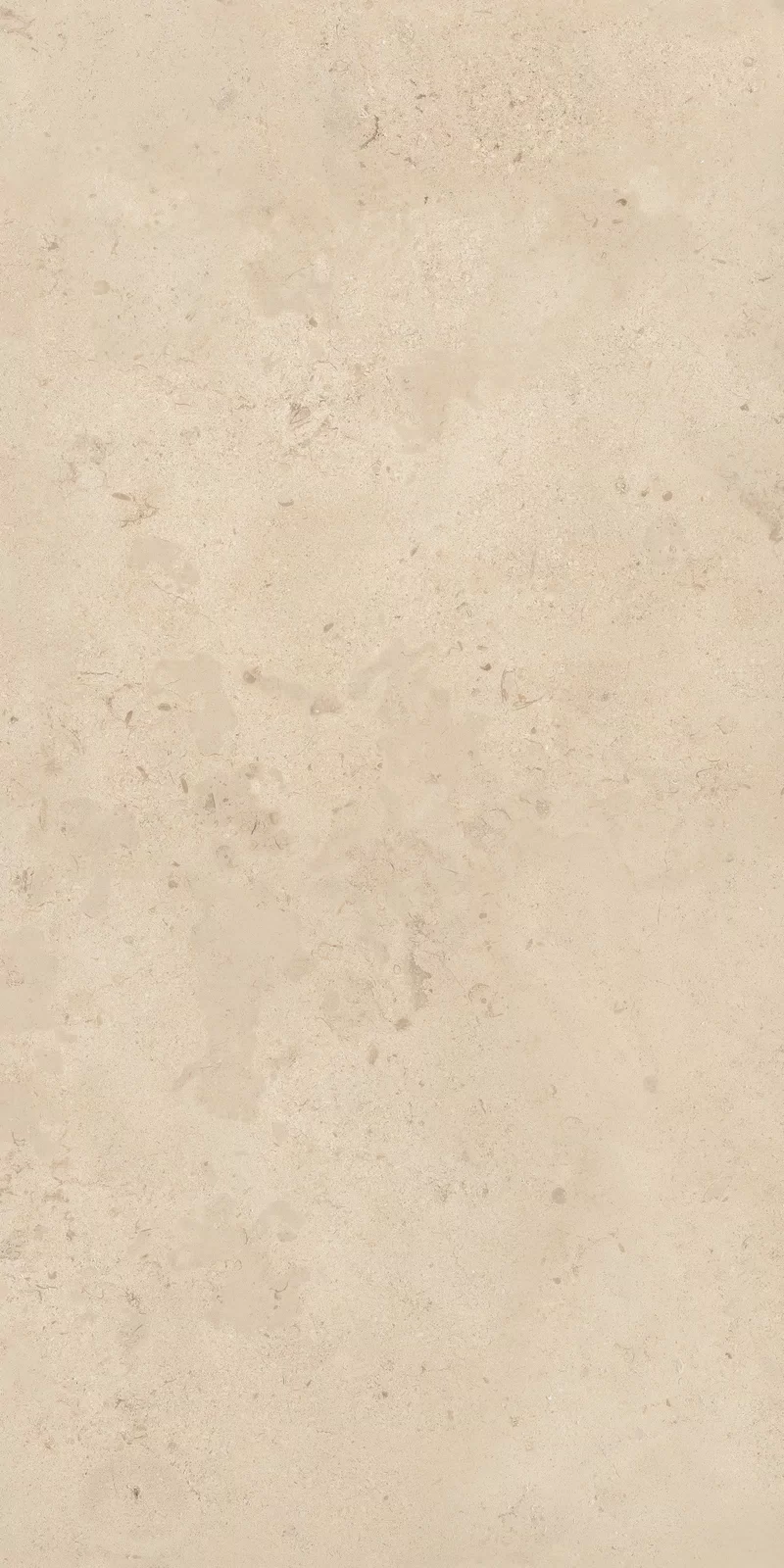 OUT.20 CAMARGUE BEIGE 60X120_14
