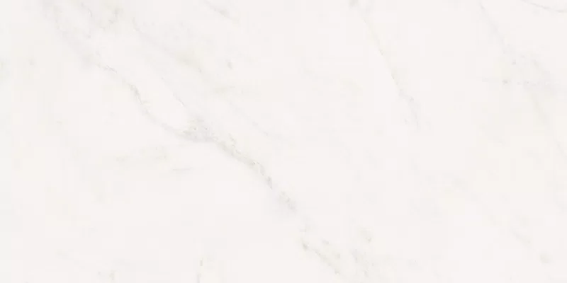 SENSI WHITE RHINO 60X120_13
