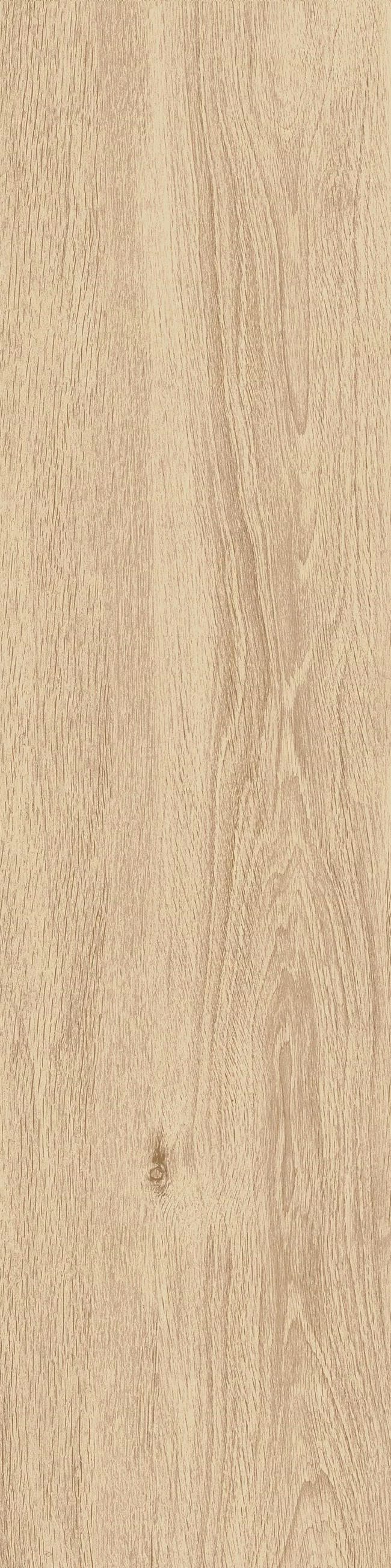 JUST NATURE_BEIGE_CHIARO_30x120_6