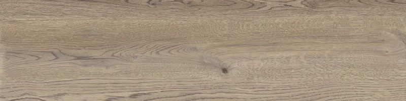 POETRY WOOD OAK 30X120_05