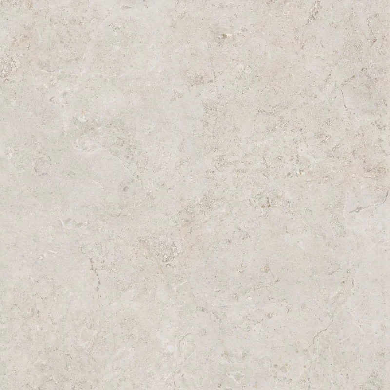 OROSEI BONE 60x60_02