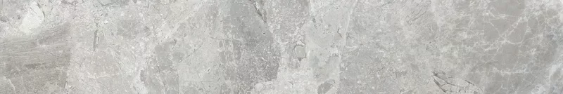 ERA MIX ASH BLOOMING 20X120_03