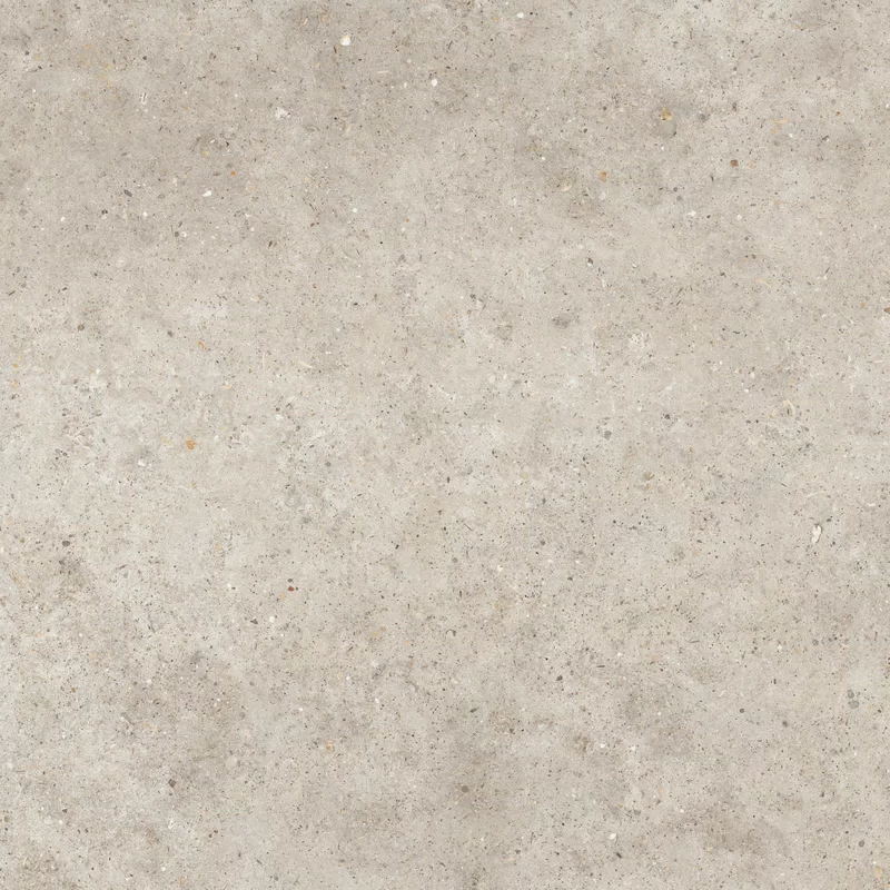 X20 ANIMA BEIGE 80X80_2