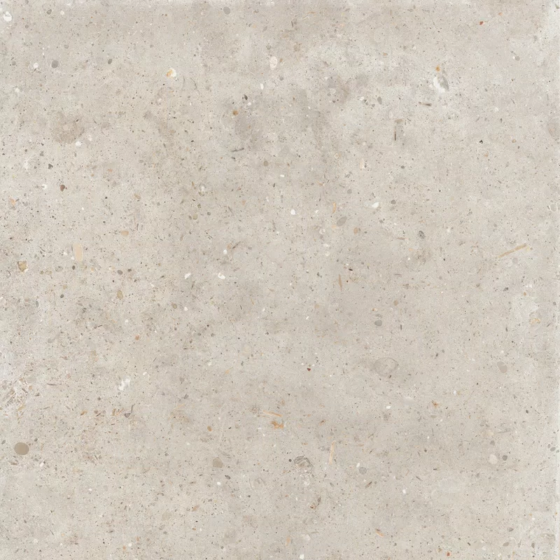 ANIMA BEIGE 60X60_07