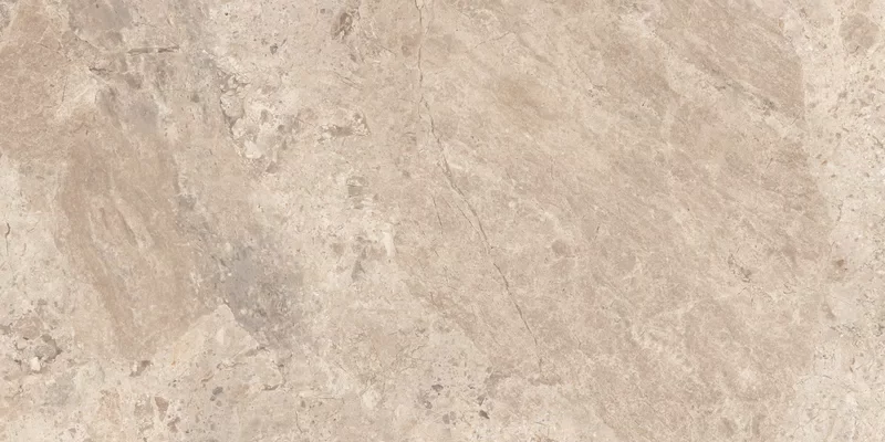 ERA BLOOMING TAUPE 60X120_05