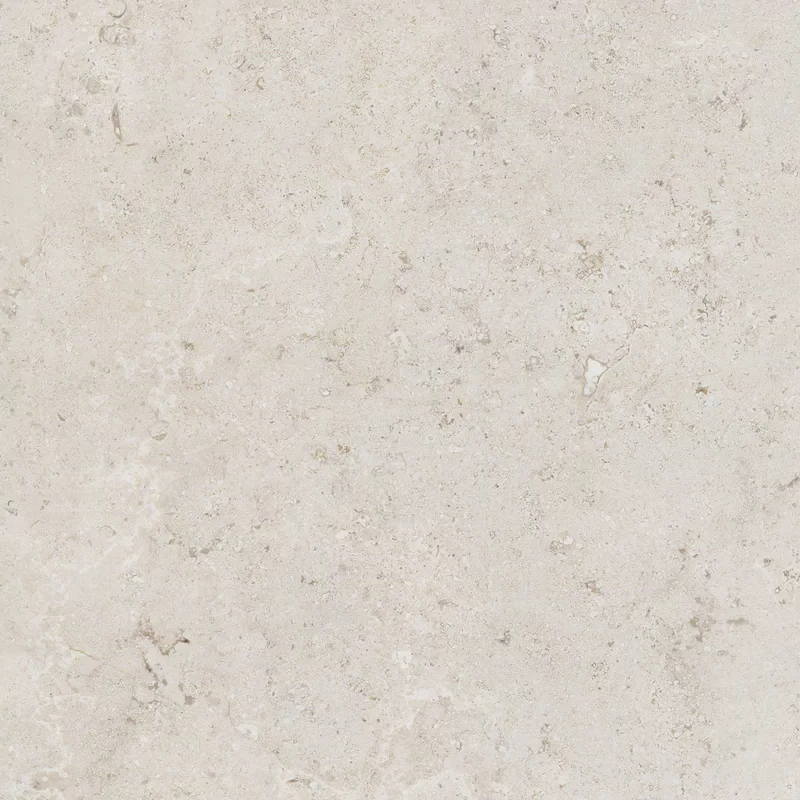 OROSEI BONE_4 80X80