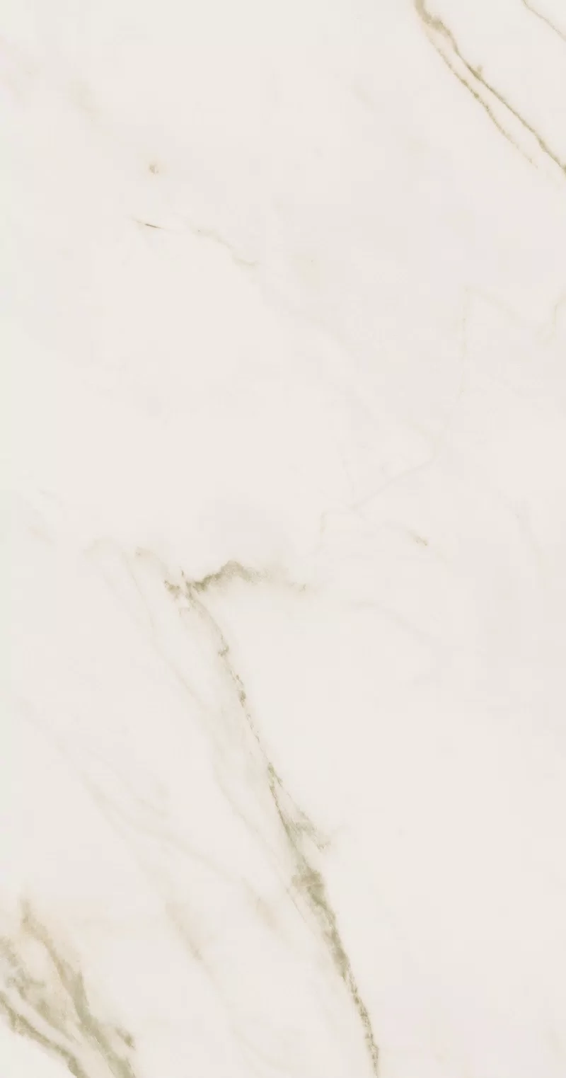 SUPREME EVO CALACATTA EXTRA 60X120_15