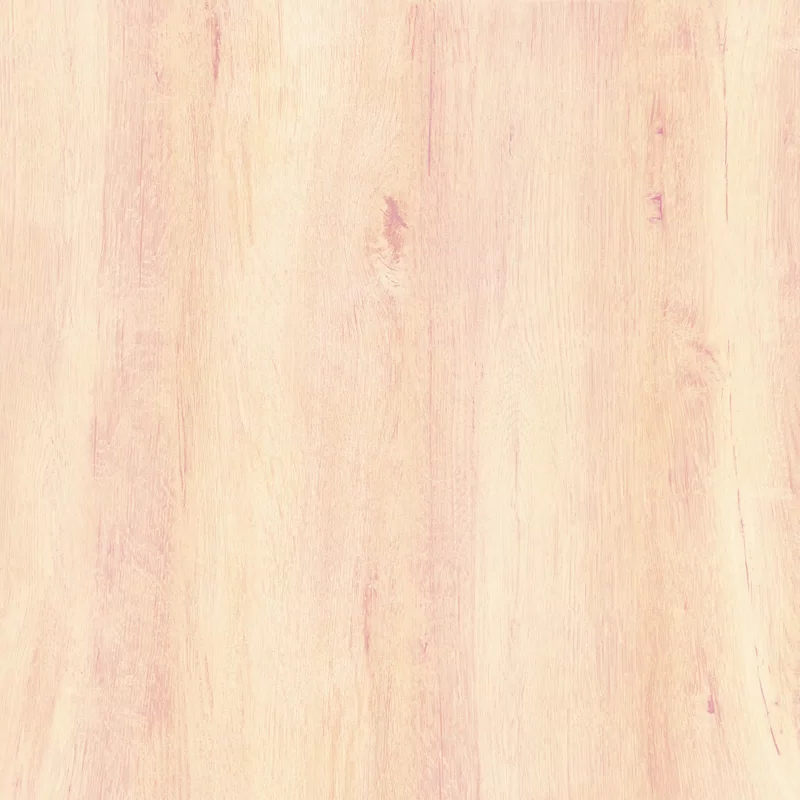 HERMIONE BEIGE 60X60 R11_20 MM_12