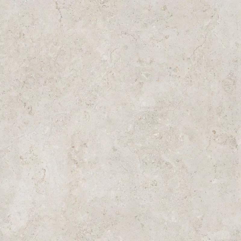 OROSEI BONE 120X120_03