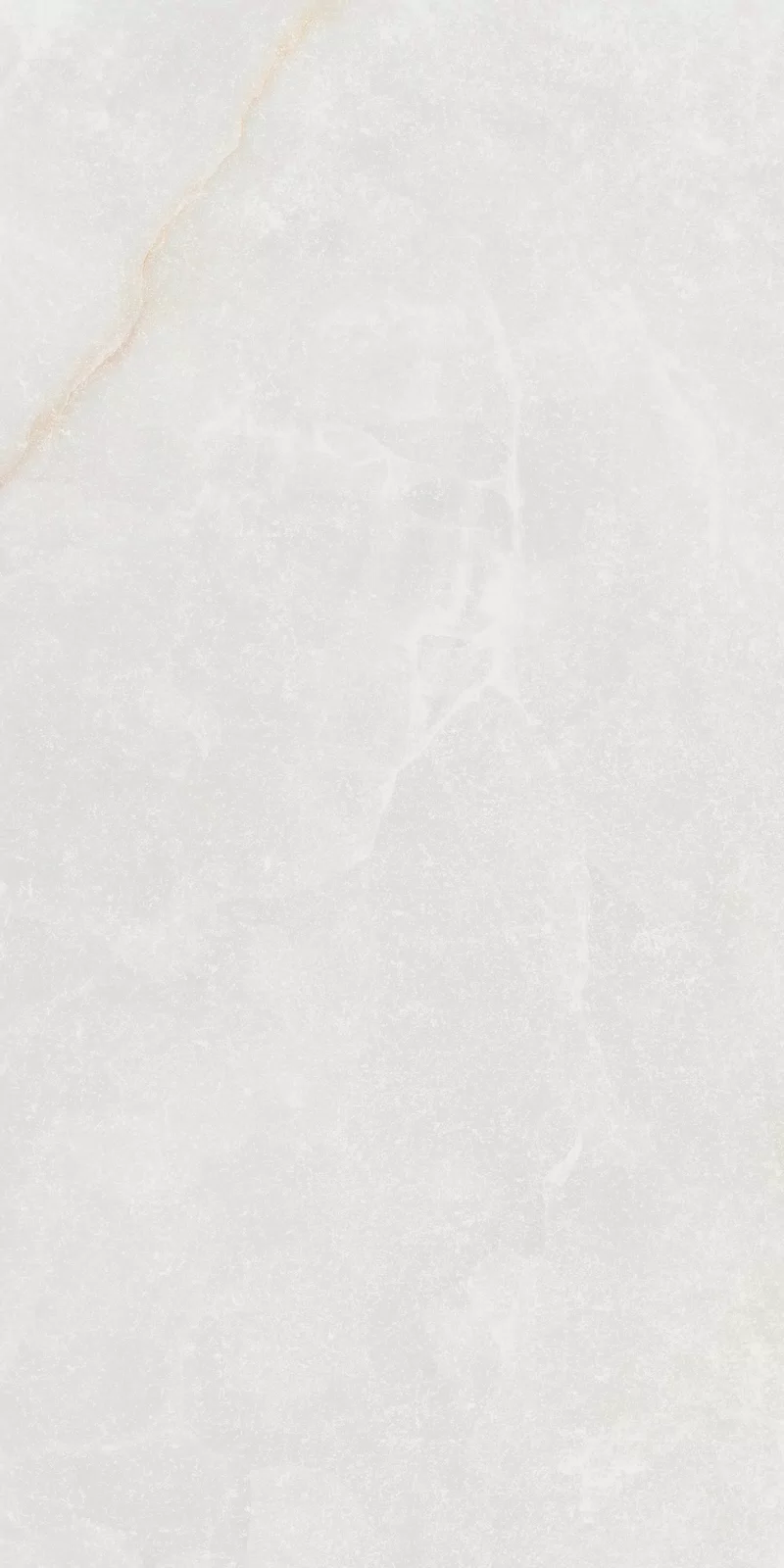 ETEREA ICE RAW 60X120 NAT_08