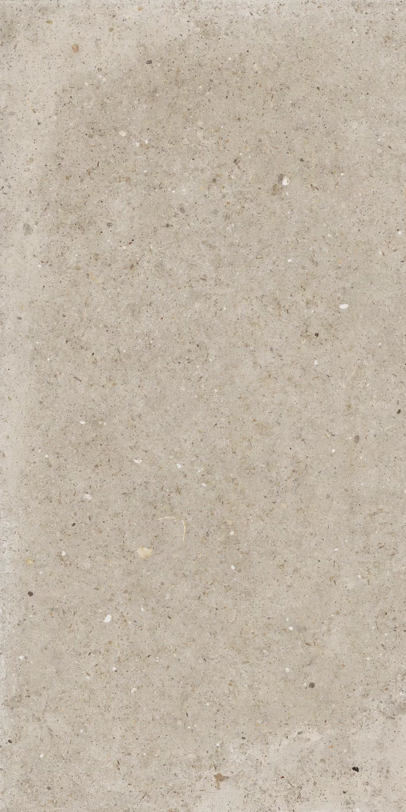 X20 ANIMA BEIGE 60x120_05