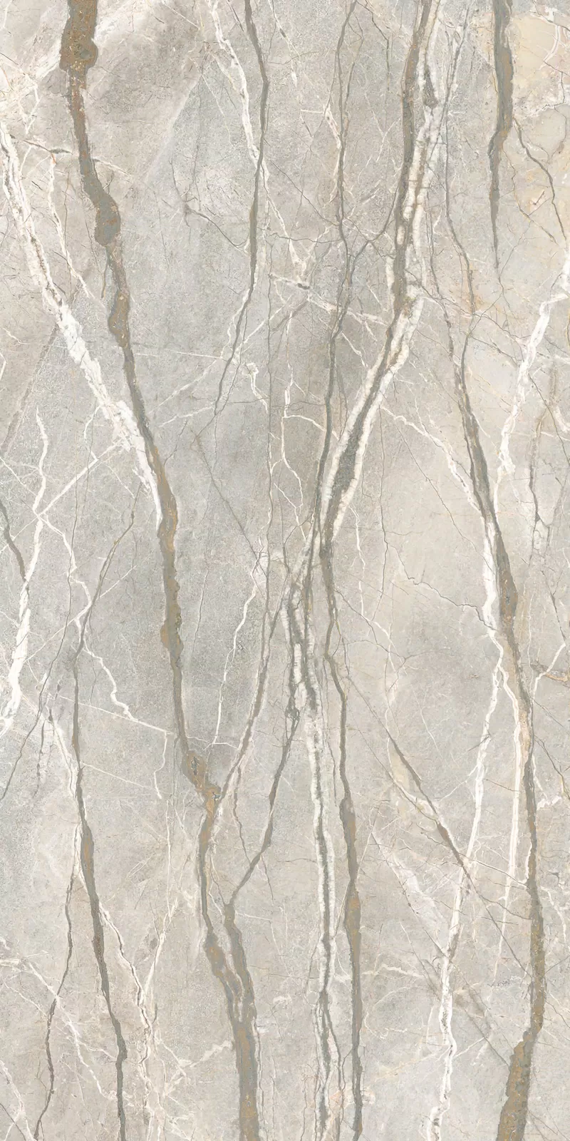 SILVER ROOTS