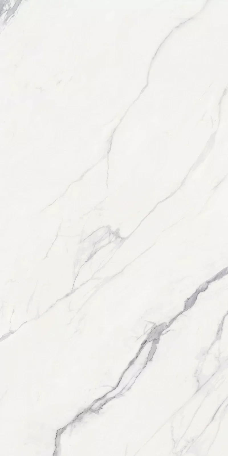 NOBILE STATUARIO 60X120_14