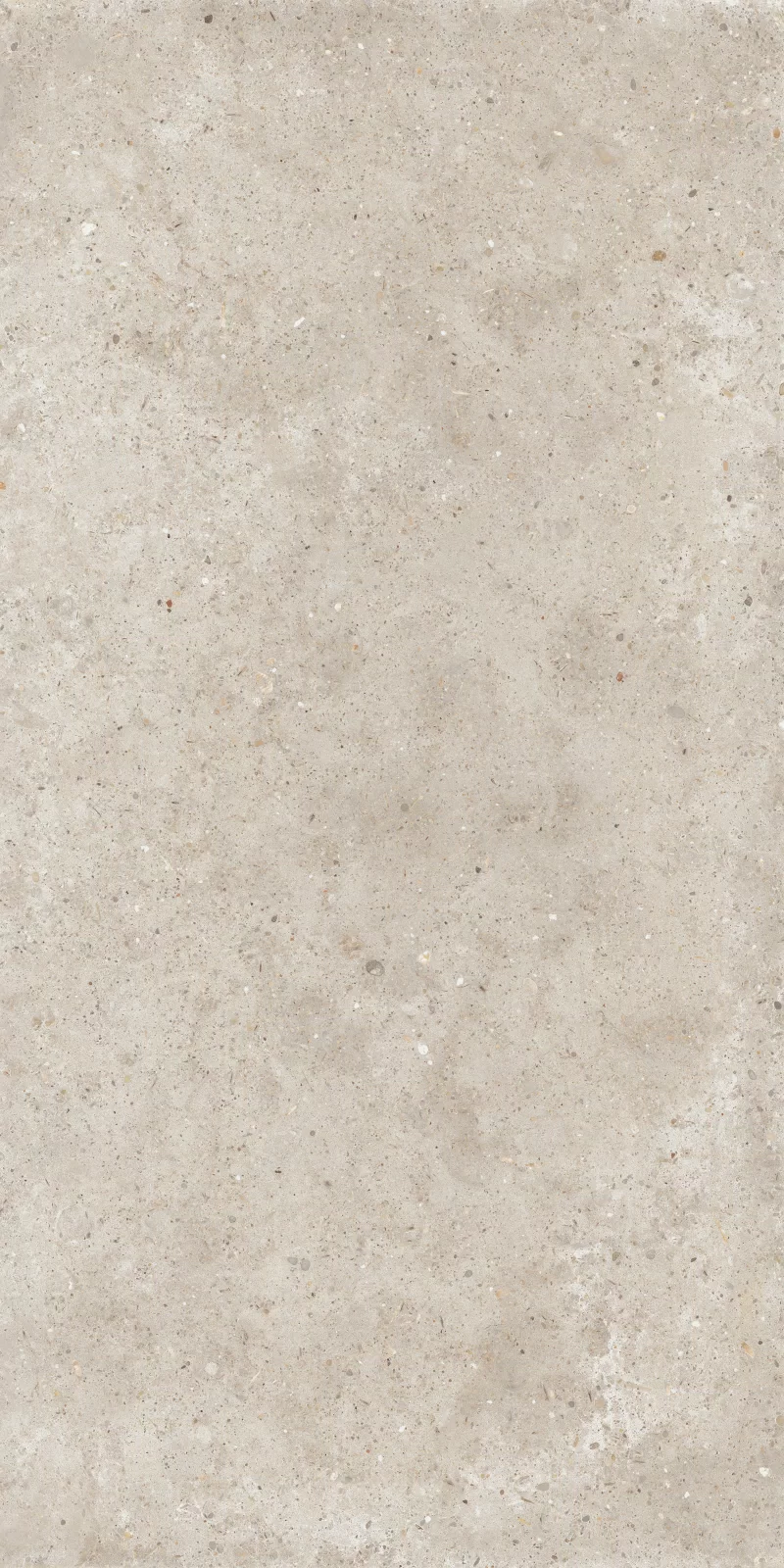 ANIMA BEIGE 60X120_12