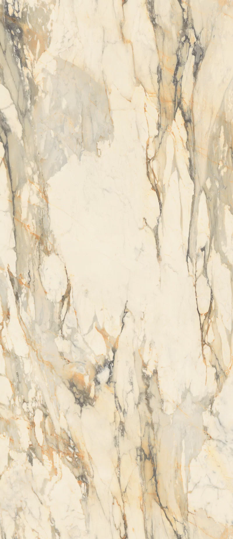 LA MARMOTECA_ANTIQUE BROWN_ 120x280_2