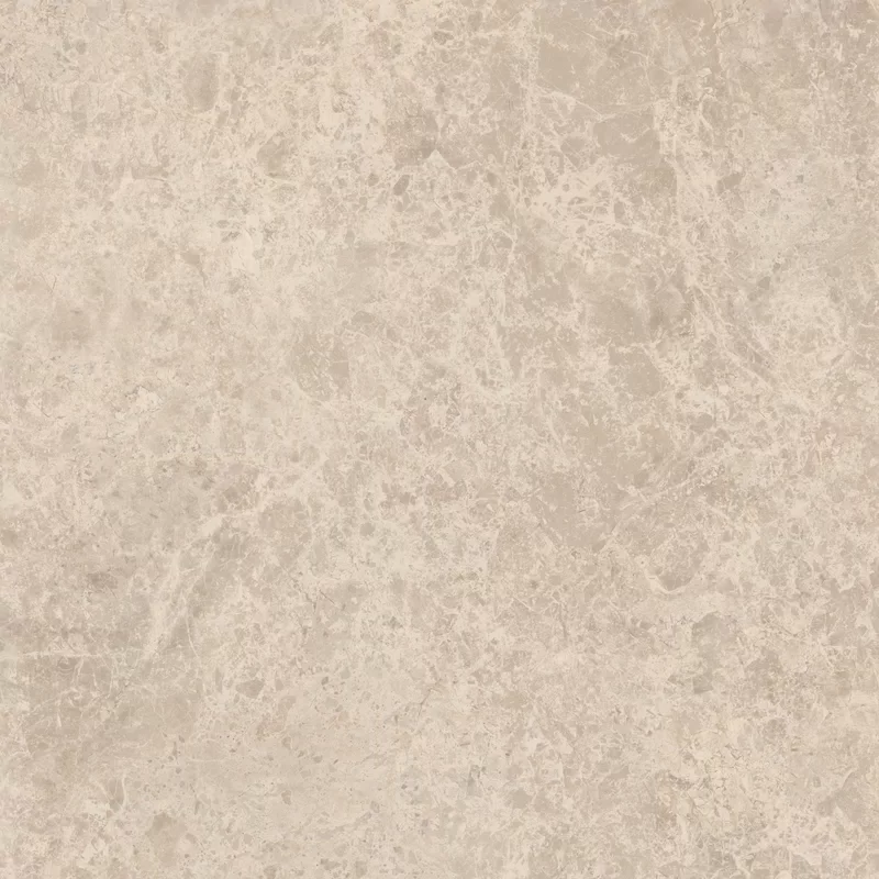ERA DELICATE TAUPE 60X60_04