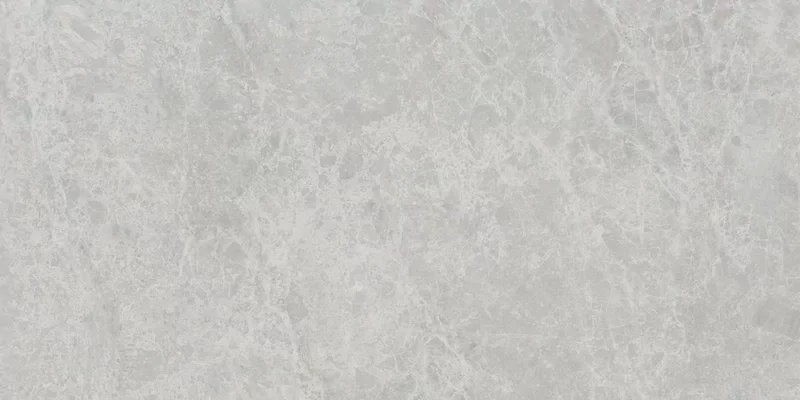 ERA DELICATE ASH 60X120_17