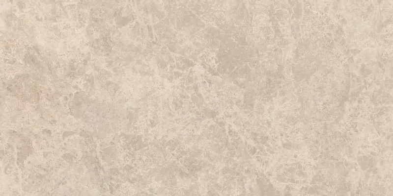 ERA DELICATE TAUPE 60X120_13