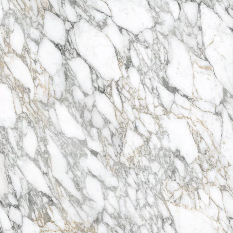 SUPREME MEMORIES BIANCO VAGLI 120X120_06