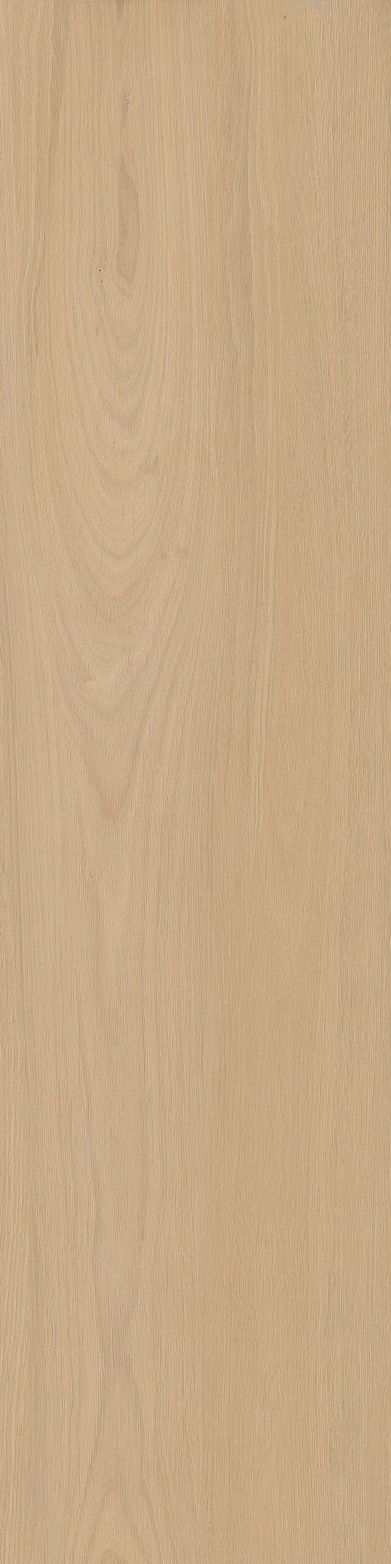 TABULAE REFINED MIELE 30X120 R11_20 MM_17