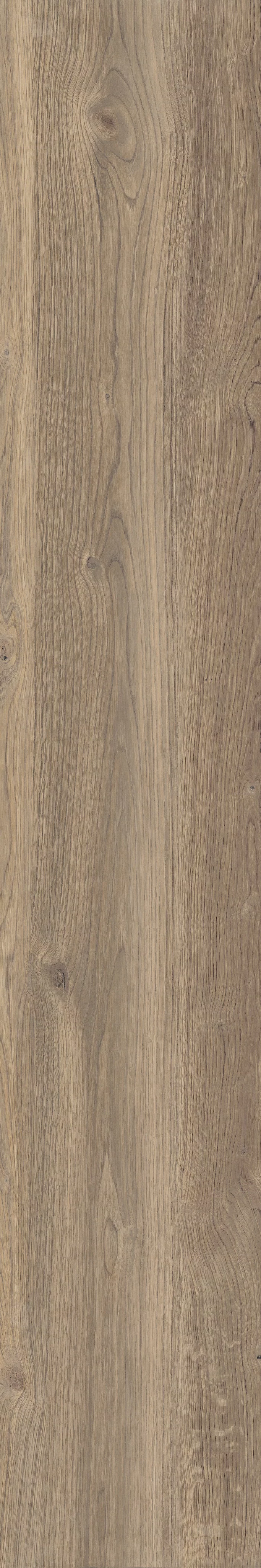 OUT.20 POETRY WOOD OAK_30x180_6