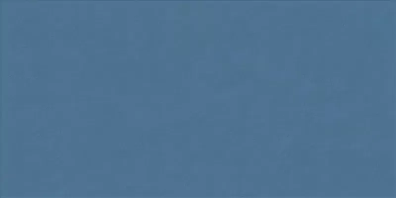 WHALE