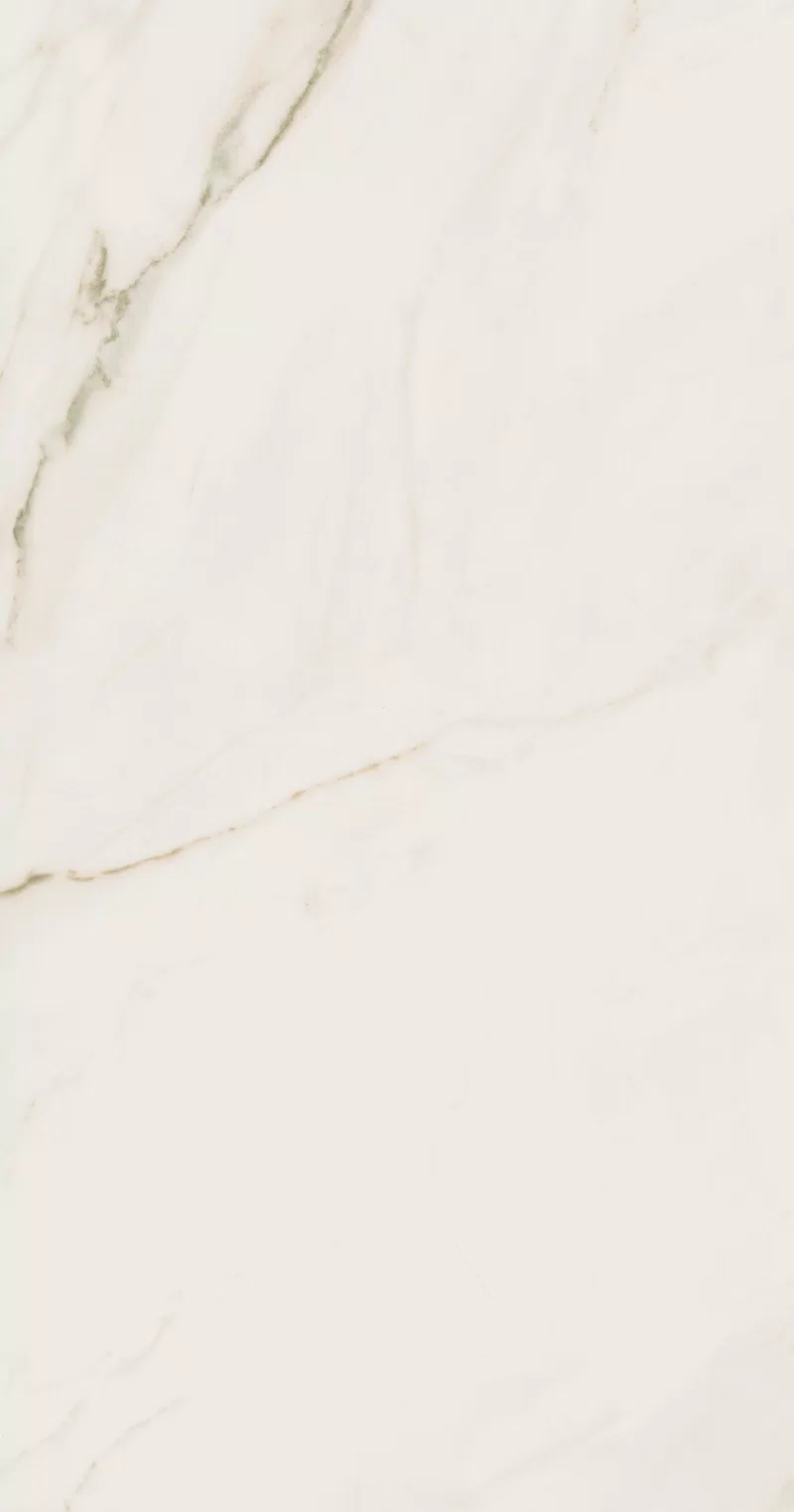 SUPREME EVO CALACATTA EXTRA 60X120_04