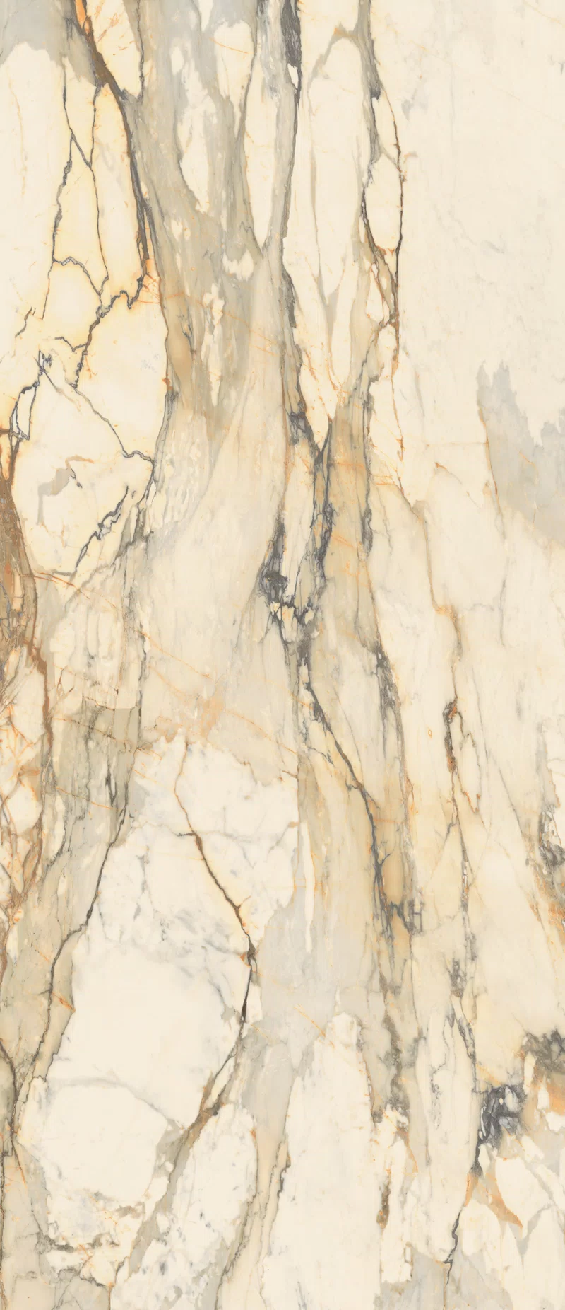 LA MARMOTECA_ANTIQUE BROWN_ 120x280_1