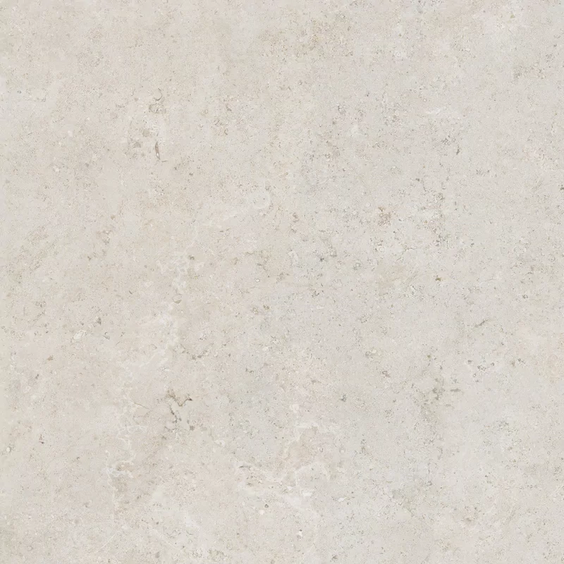 OROSEI BONE 60x60_04