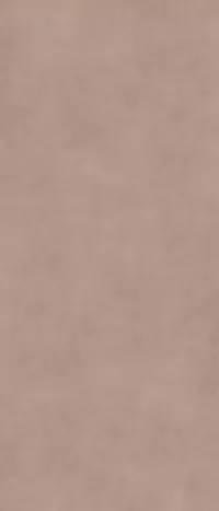 Piastrella I Pigmenti Bark di Gardenia&Ariana in beige, finitura Naturale, 120x280, spessore 6 mm.