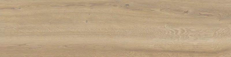 OUT.20 POETRY WOOD GOLD 30X120_05
