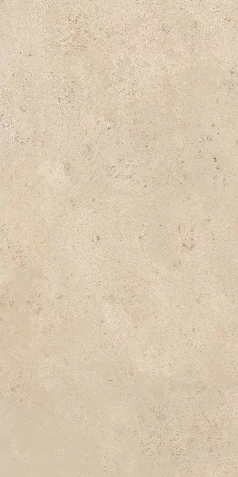 MEMENTO CAMARGUE BEIGE 60X120_17
