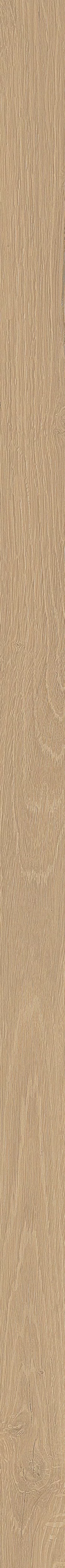 TABULAE REFINED MIELE 5X120_04