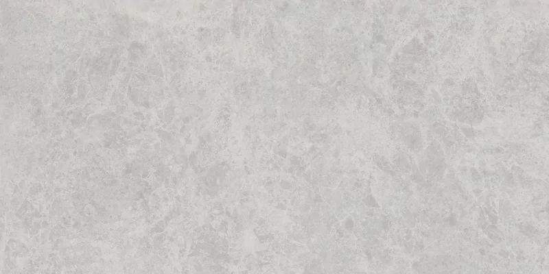 ERA DELICATE ASH 60X120_01