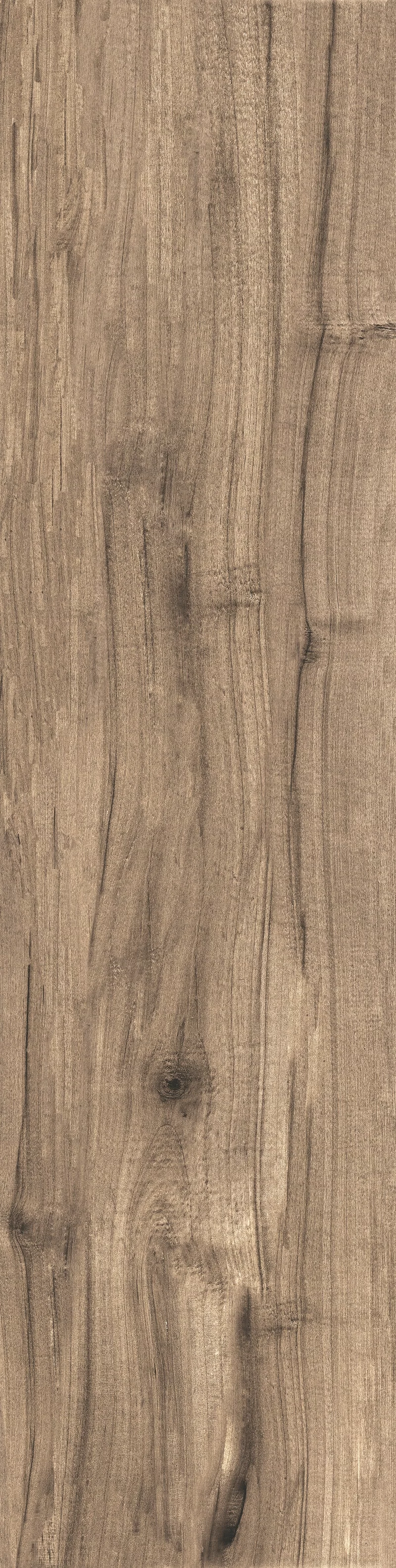 DAKOTA AVANA 30x120_7
