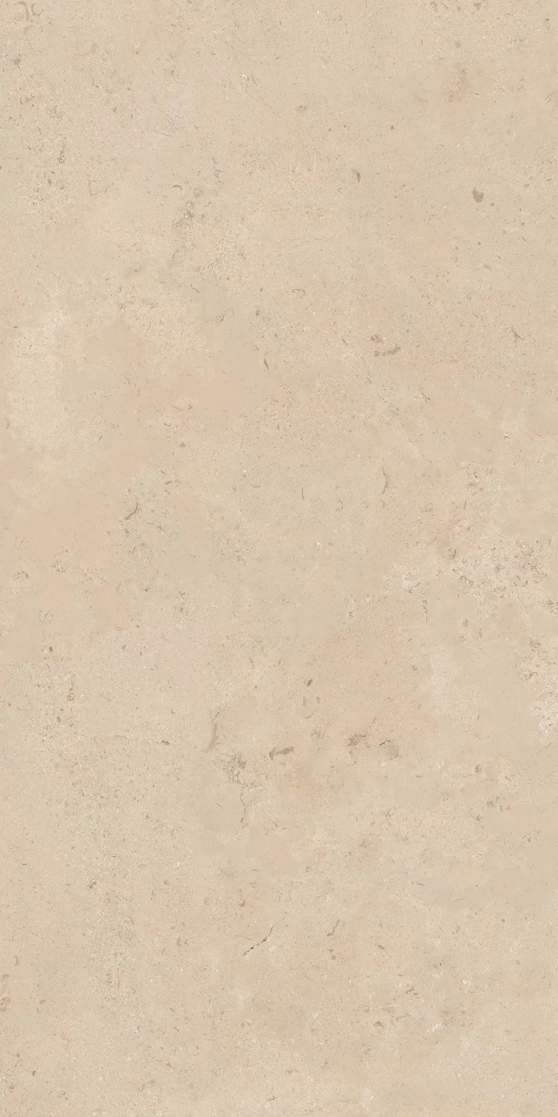 OUT.20 CAMARGUE BEIGE 60X120_03