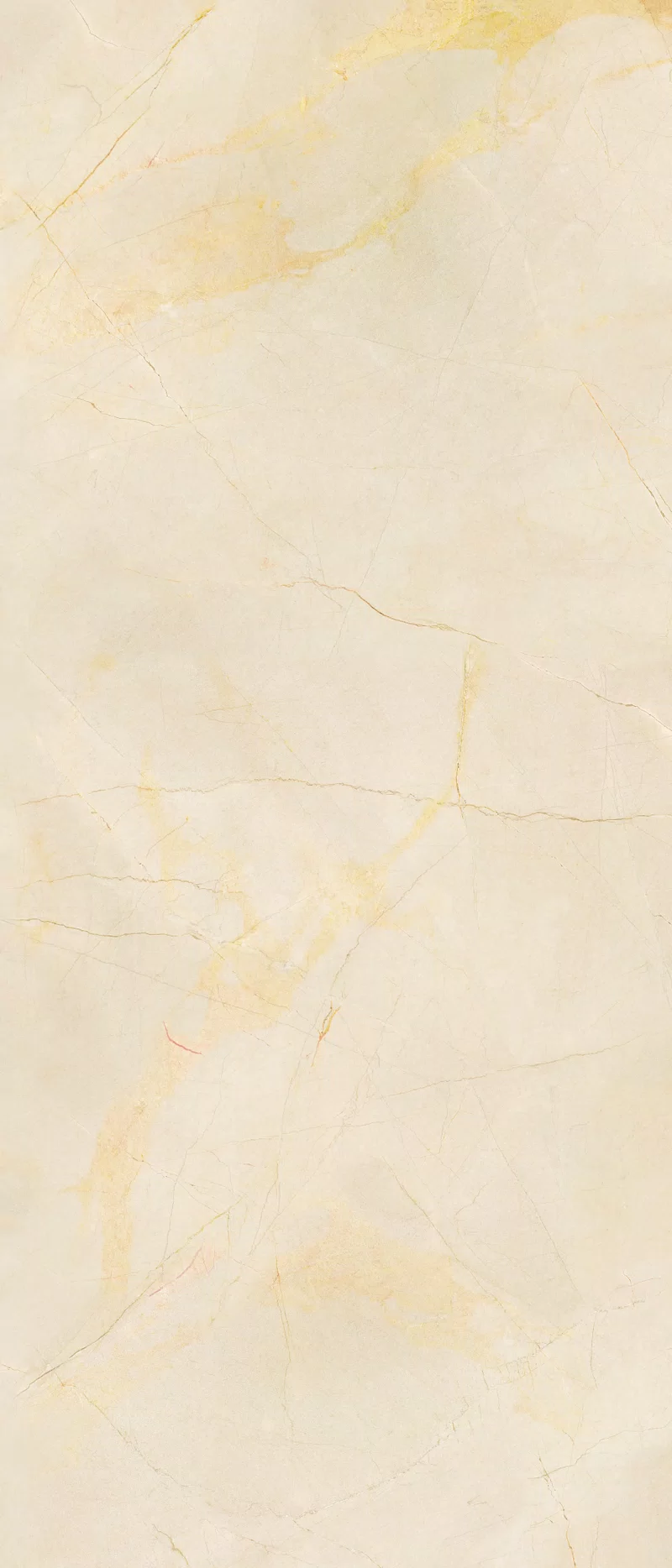 120X280 · Nat P.tech