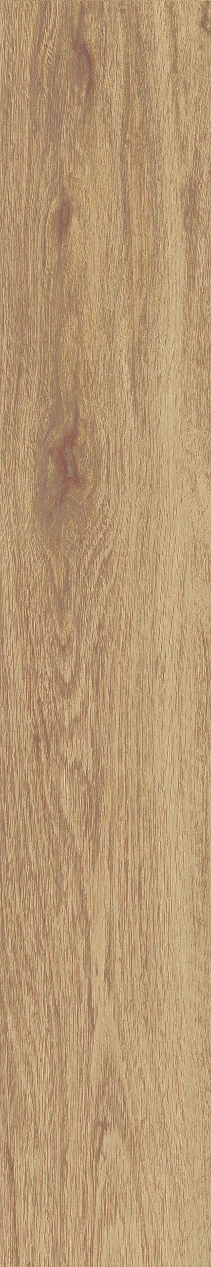 JUST NATURE_BEIGE_MEDIO_20x120_4