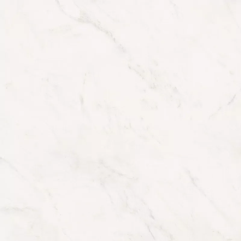 SENSI WHITE RHINO 120X120_08