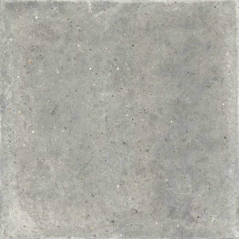 ANIMA GRIGIO 120X120_01